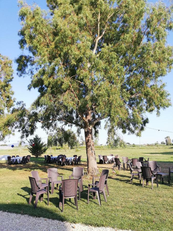 Agriturismo Le Folaghe Terracina Bagian luar foto